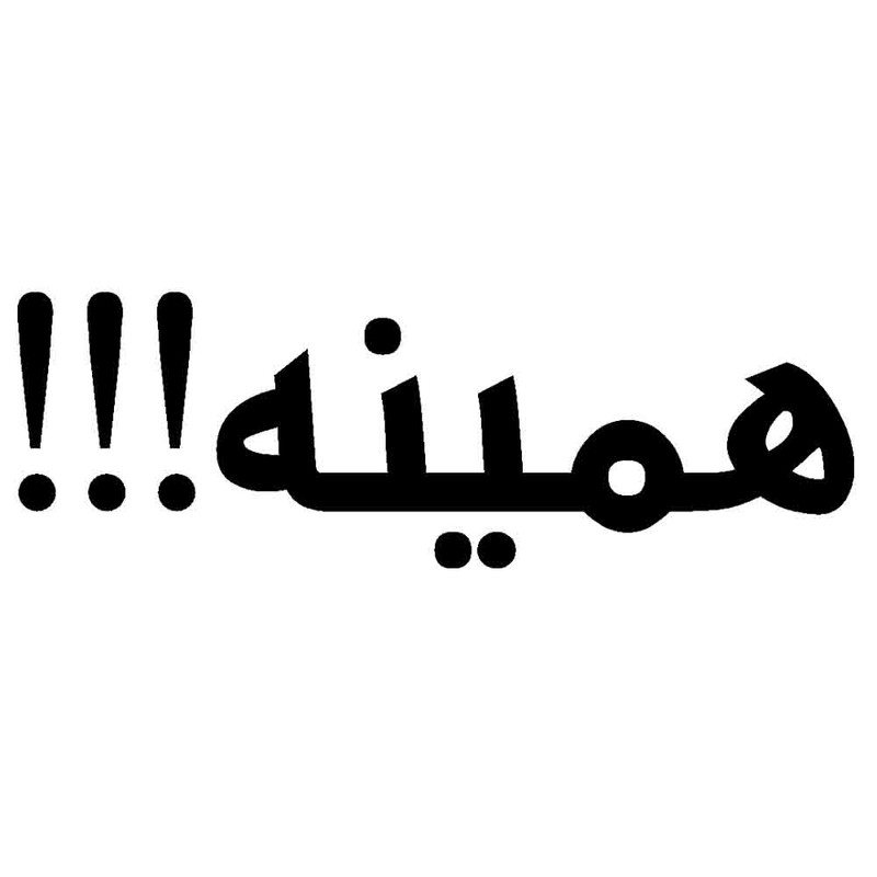 برچسب بدنه خودرو طرح همینه کد 135AZ 17