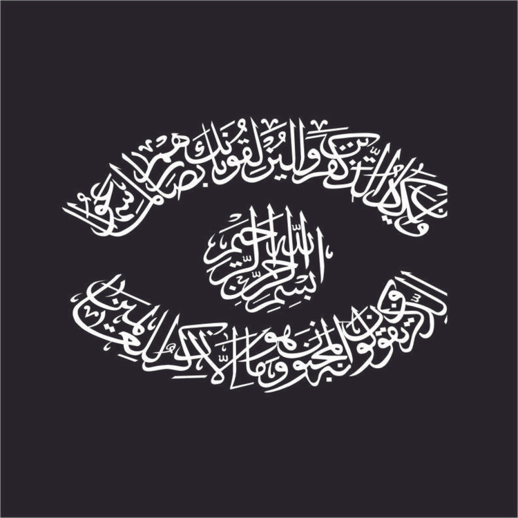 برچسب بدنه خودرو طرح لیزارد مدل وان یکاد کد vn11