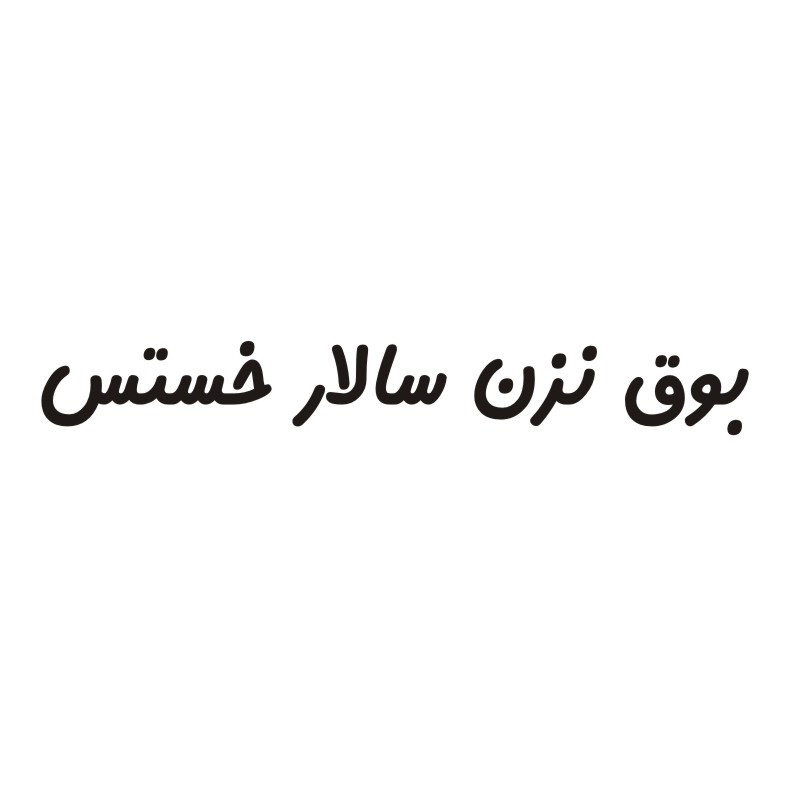 برچسب بدنه خودرو لیزارد مدل فانتزی طرح بوق نزن سالار خستس کد LZD-772